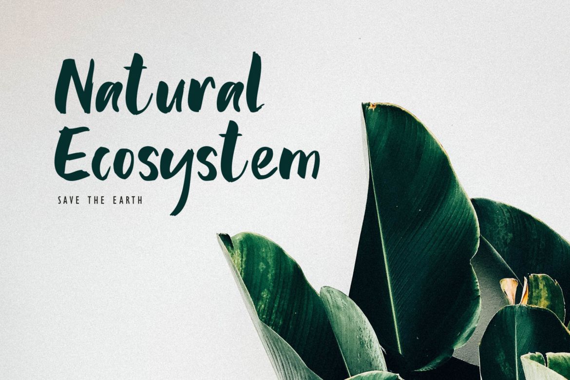 Be Bold Not Regular Font - view 7