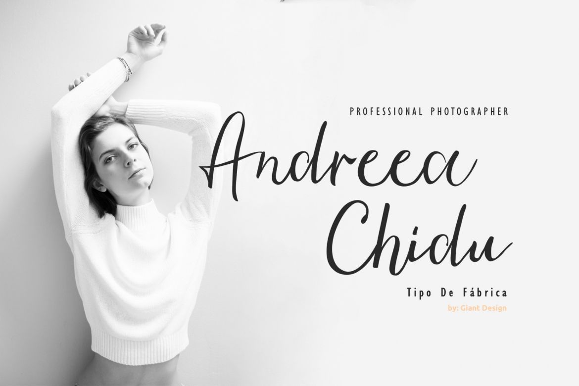 Ambre Script Font - view 2