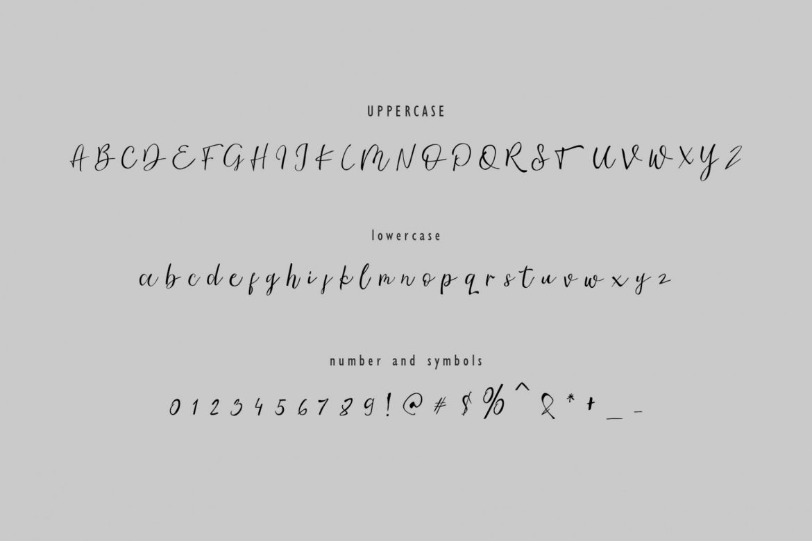 Ambre Script Font - view 6