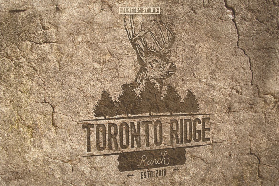 Lambetta Kongo Font Duo - view 4