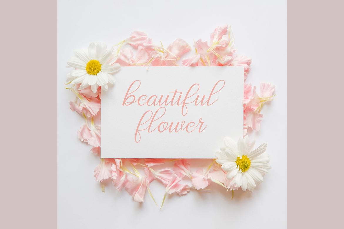 Adriana - Free Font alternate