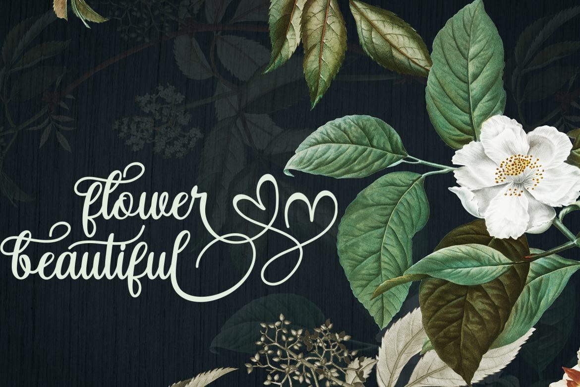 Alice Chater - Free Font - view 4