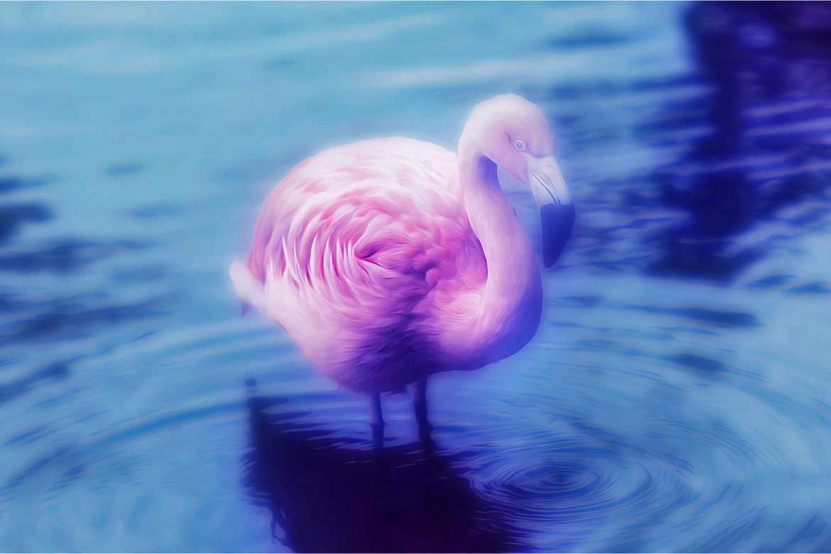 Soft Focus Photoshop Action - view 12