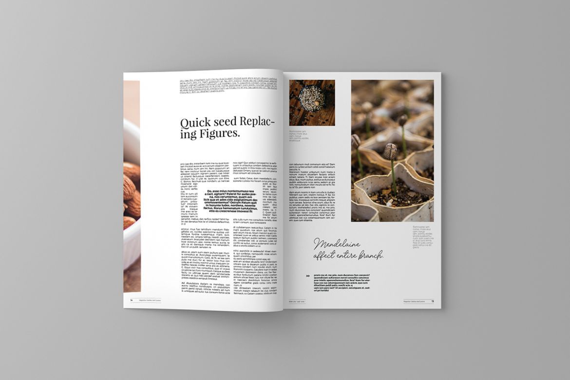 Garden and Leaves Magazine Template - view 2