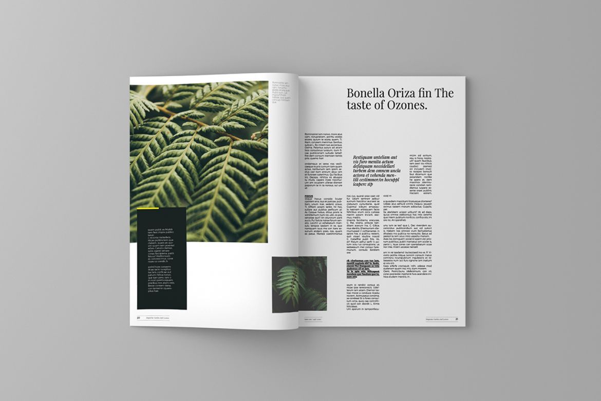 Garden and Leaves Magazine Template - view 5