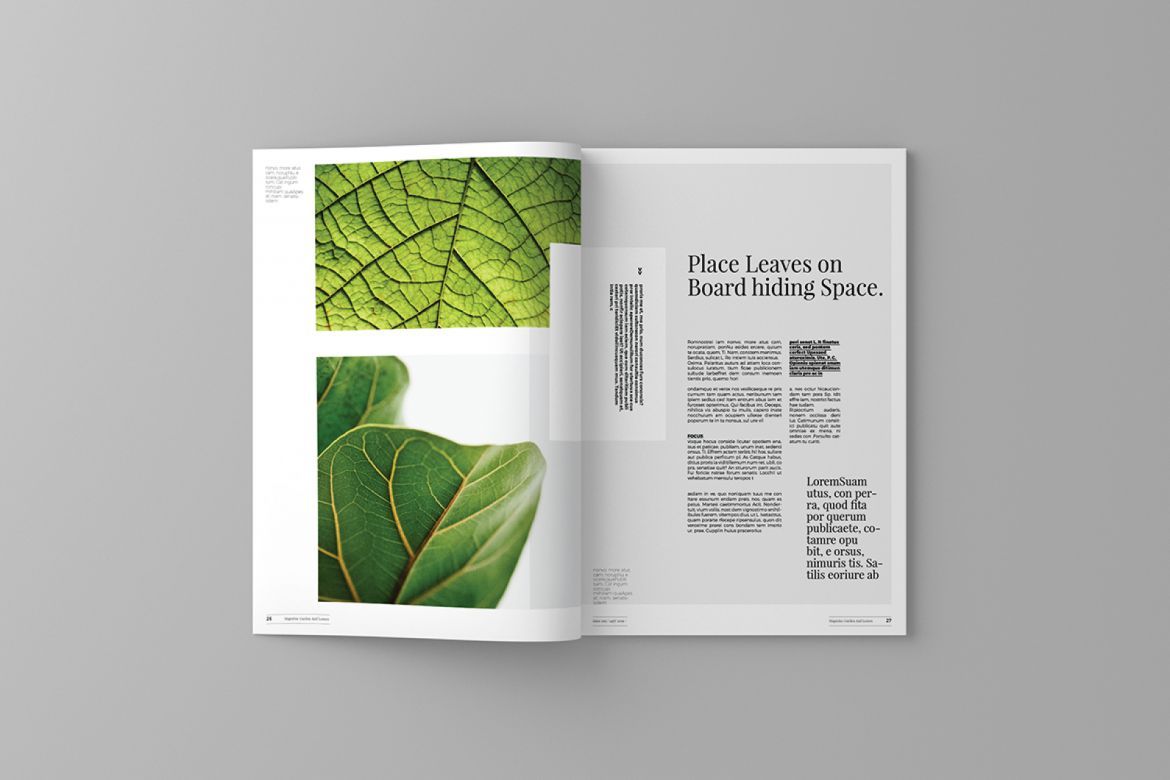 Garden and Leaves Magazine Template - view 8