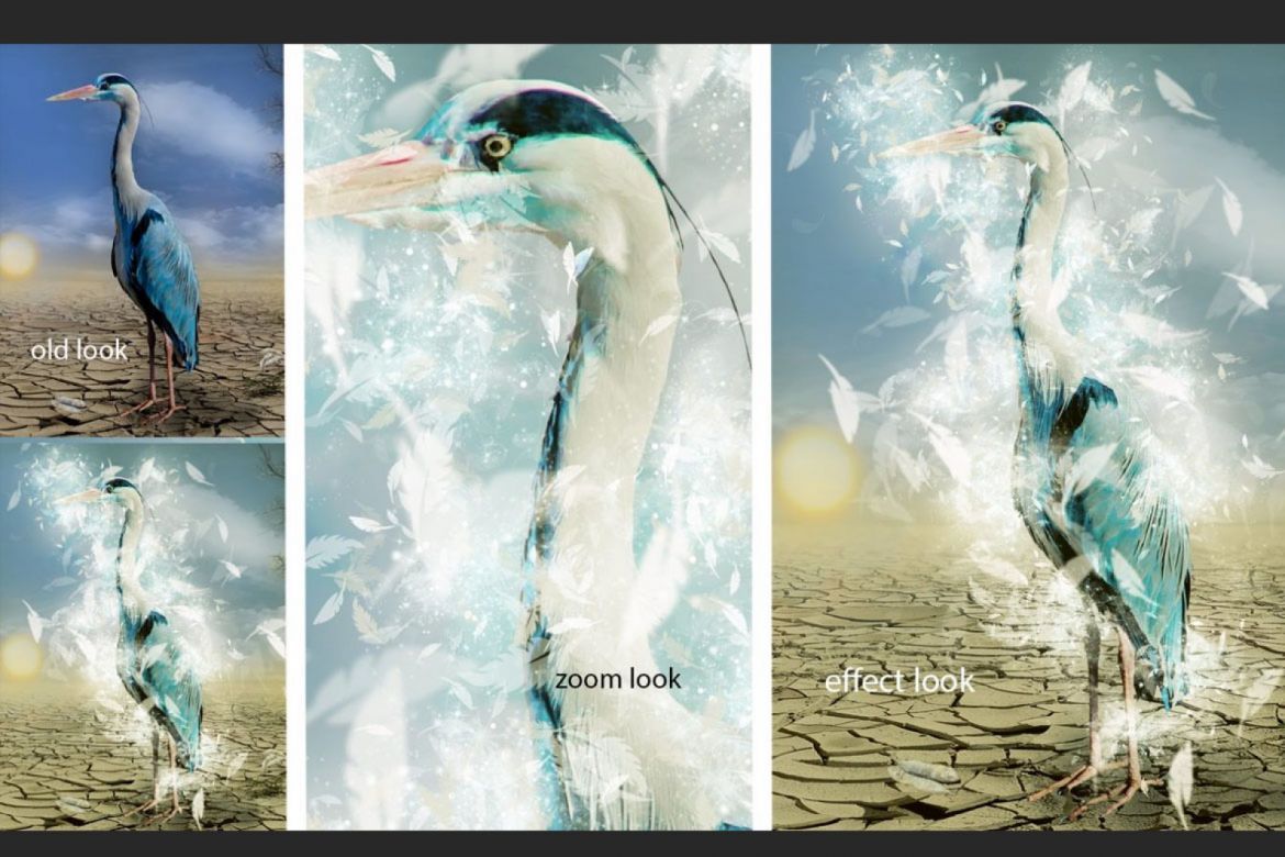 Feather Dreamy Dispersion Photoshop Action - view 7