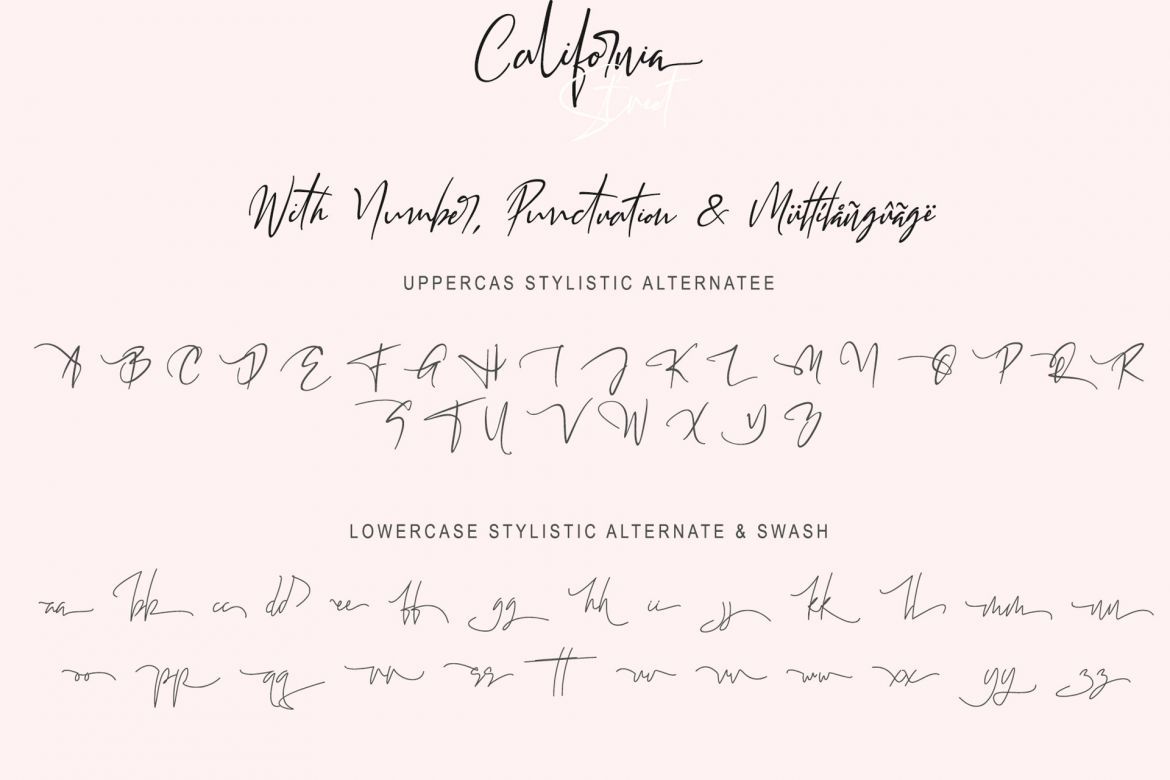 Callifornia Street Script - view 7
