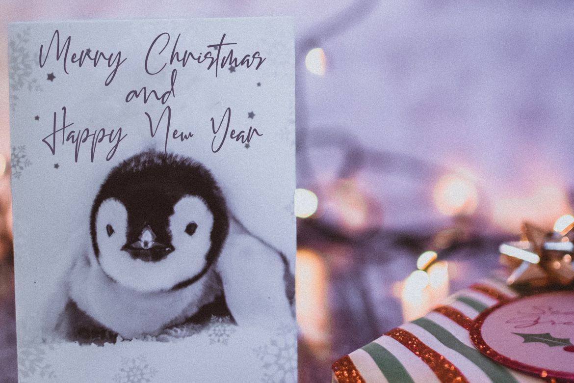 Callifornia Street Script - view 9