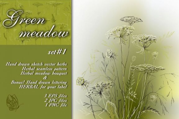 Green meadow herbal sketch set #1