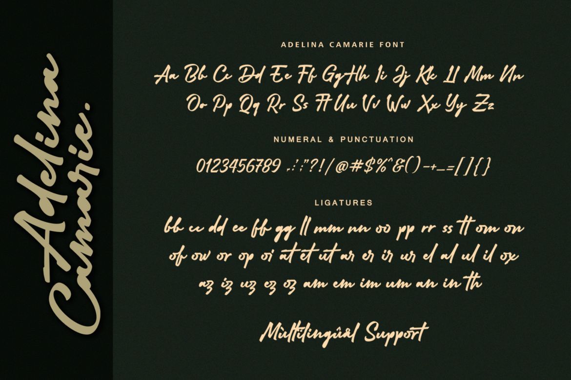 Adelina Camarie Bold Signature Font - view 16