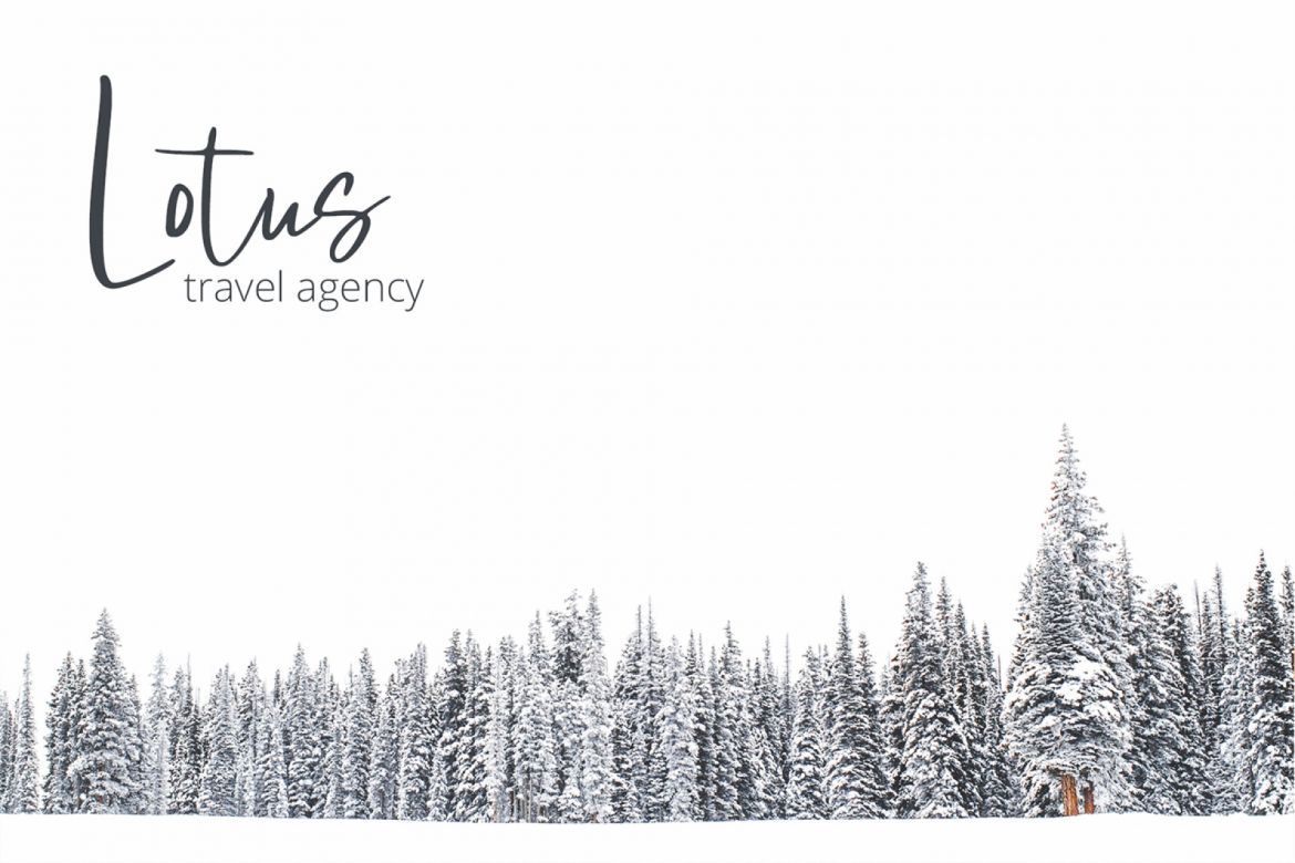 Blueberrys Signatures - view 13