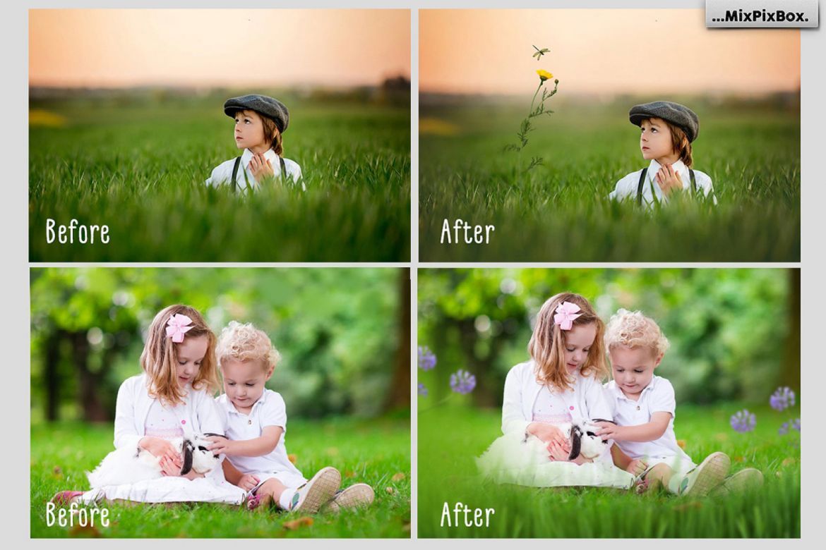 Grass and Flowers Photo Overlays alt