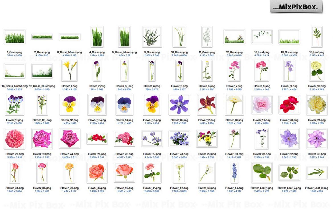 Grass and Flowers Photo Overlays - view 3