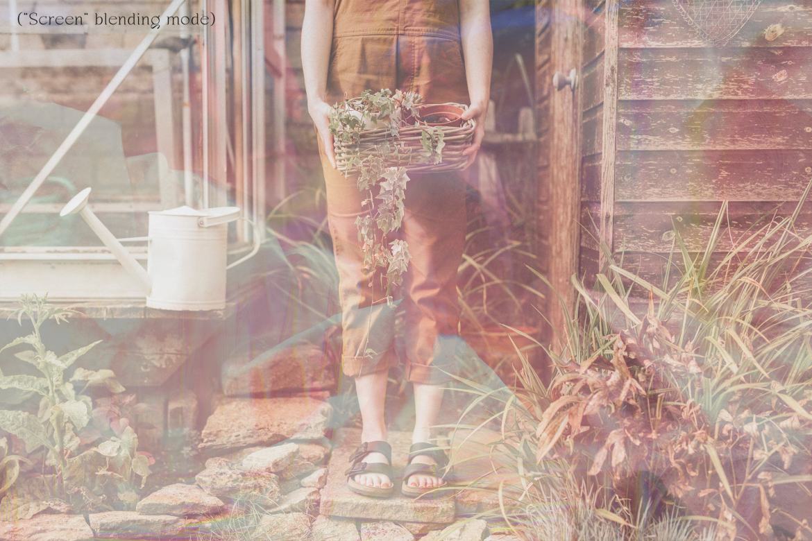 Free Holographic Papers Vol.3 alternate