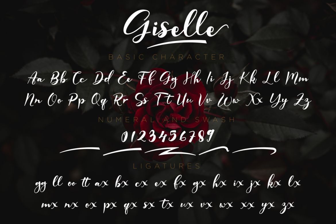 Giselle Script - view 11