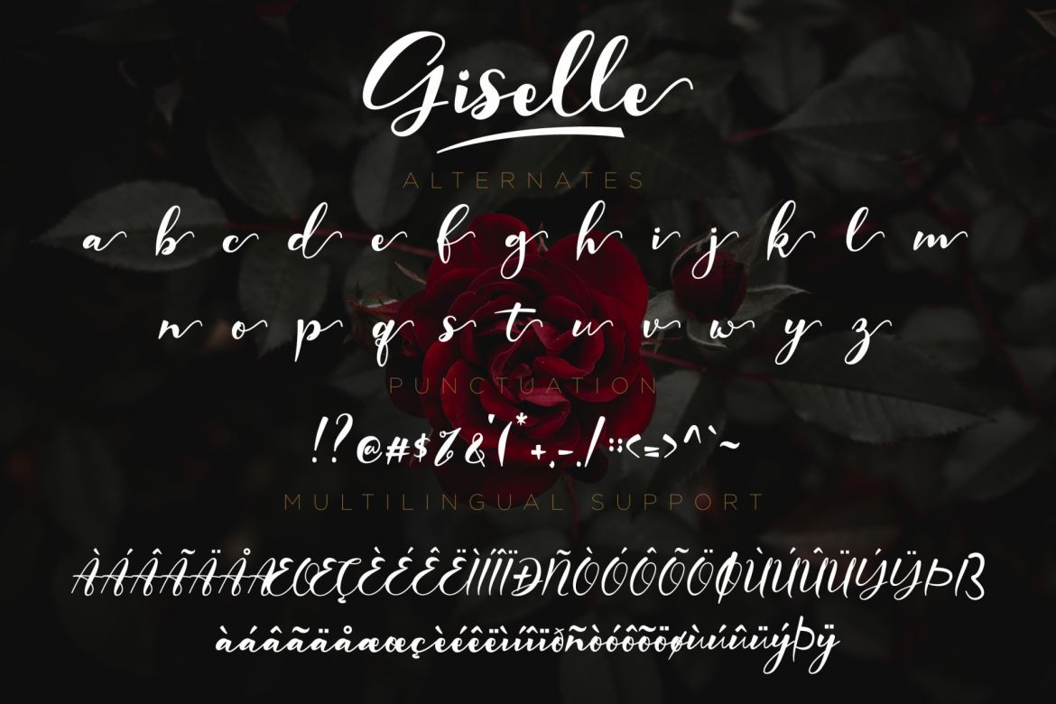 Giselle Script - view 12
