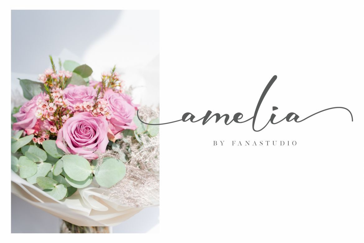 Elmira Script - view 8