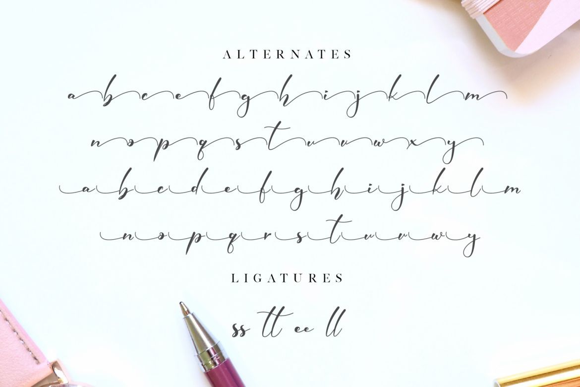 Elmira Script - view 11