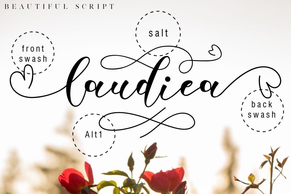 Laudiea Script - view 6
