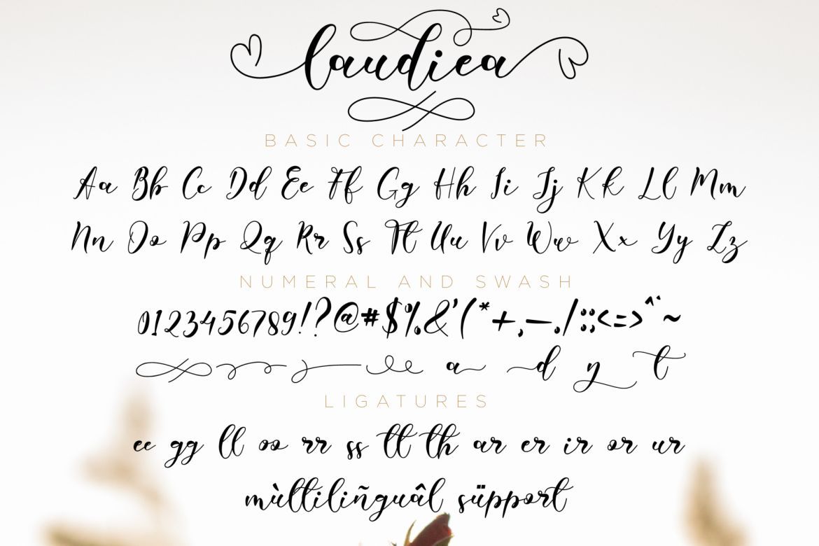 Laudiea Script - view 7