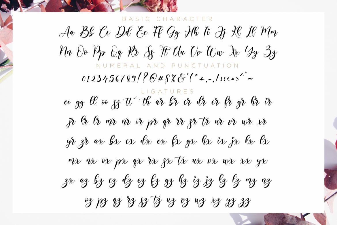 Alyanda Script - view 11