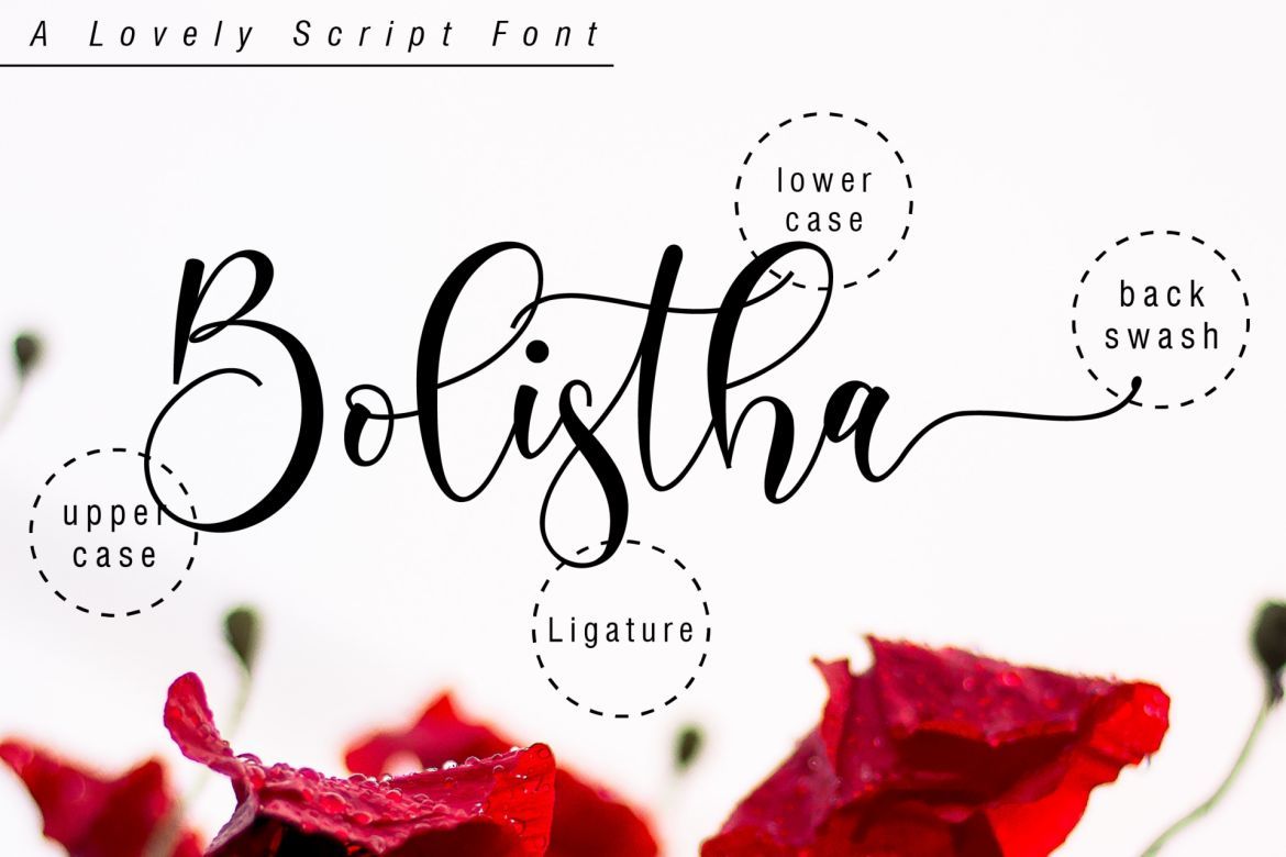 Boshela Script - view 3