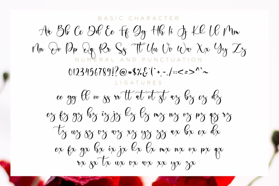 Boshela Script - view 4