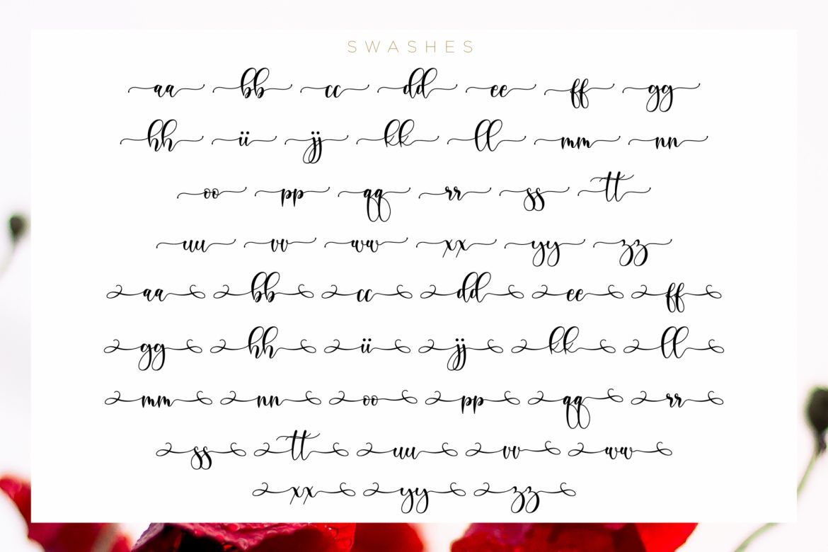 Boshela Script - view 5