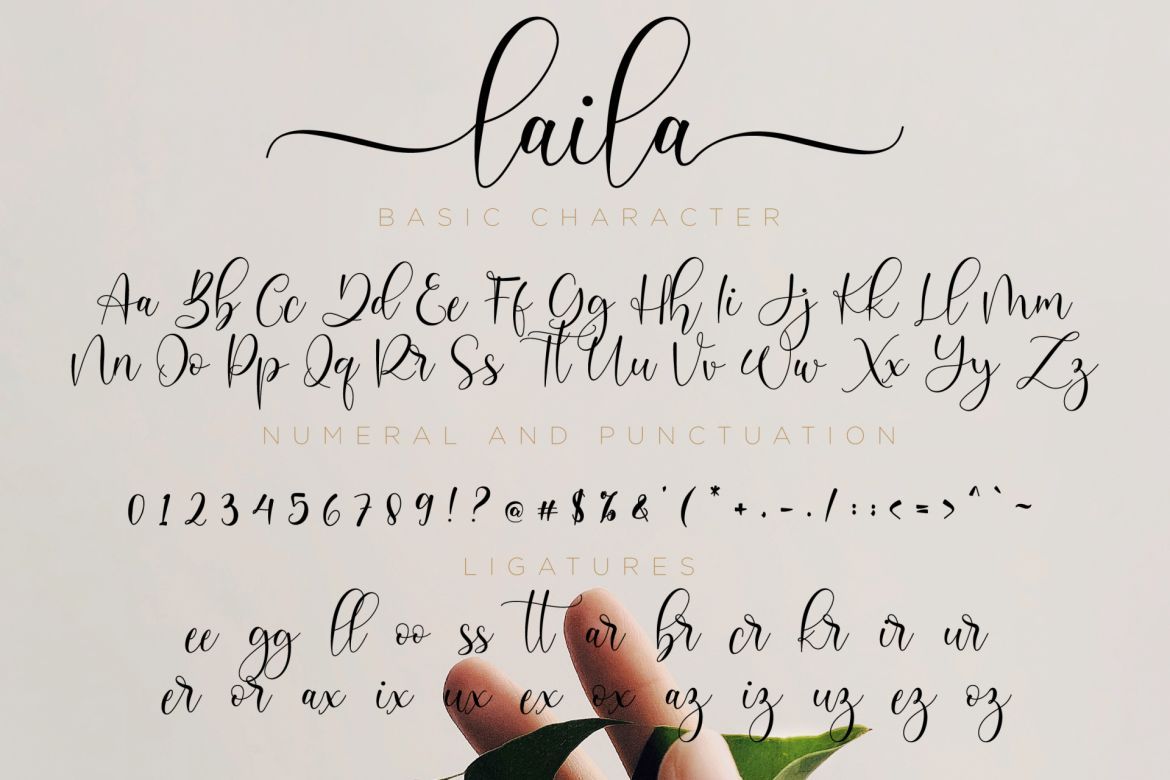 Laila Script - view 11