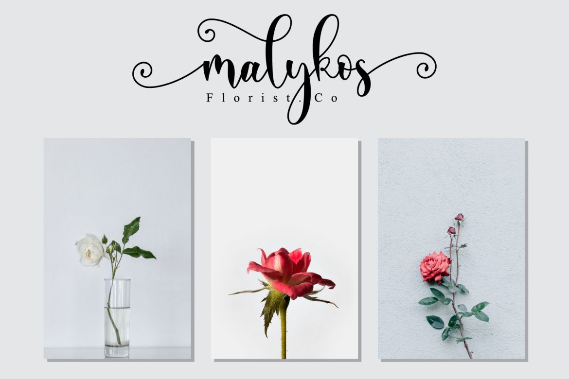 Ayalda Script - view 4