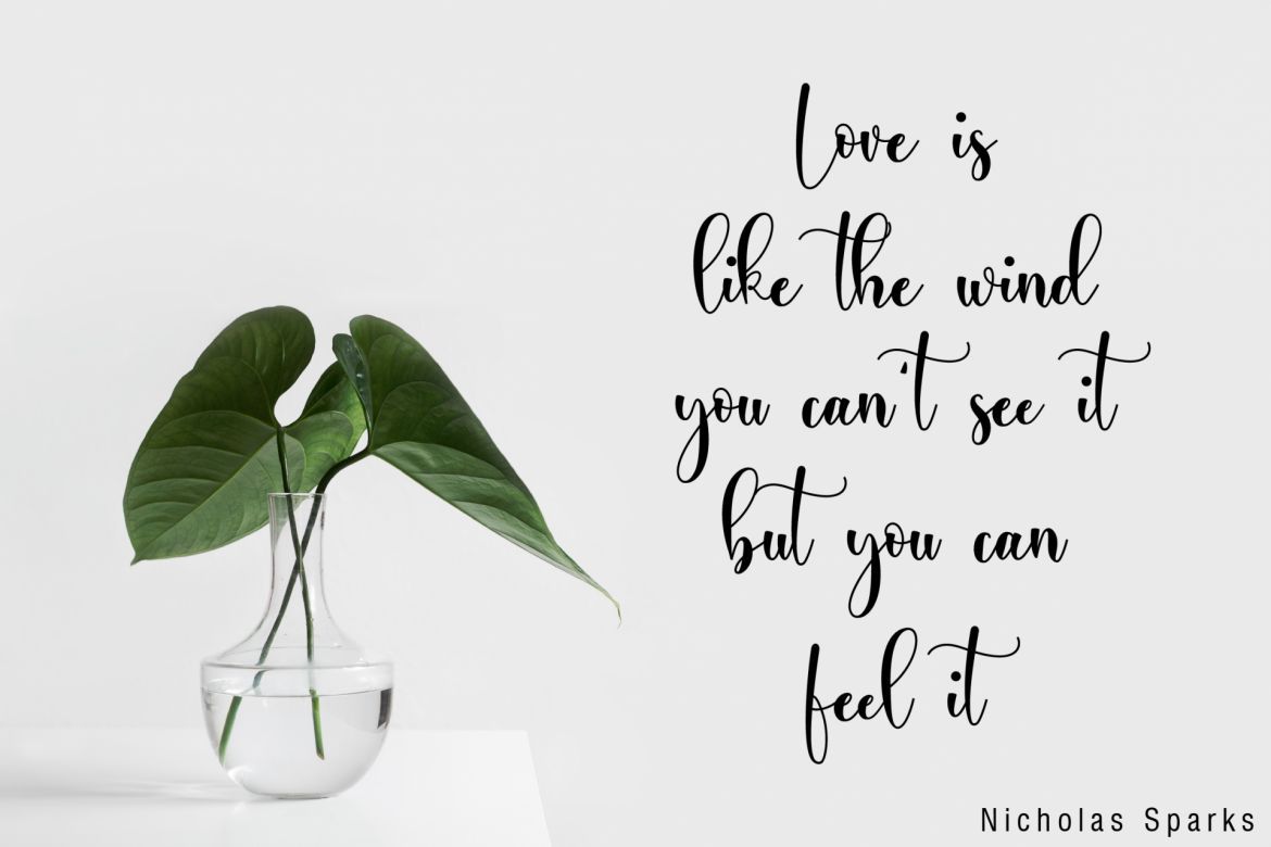 Ayalda Script - view 9