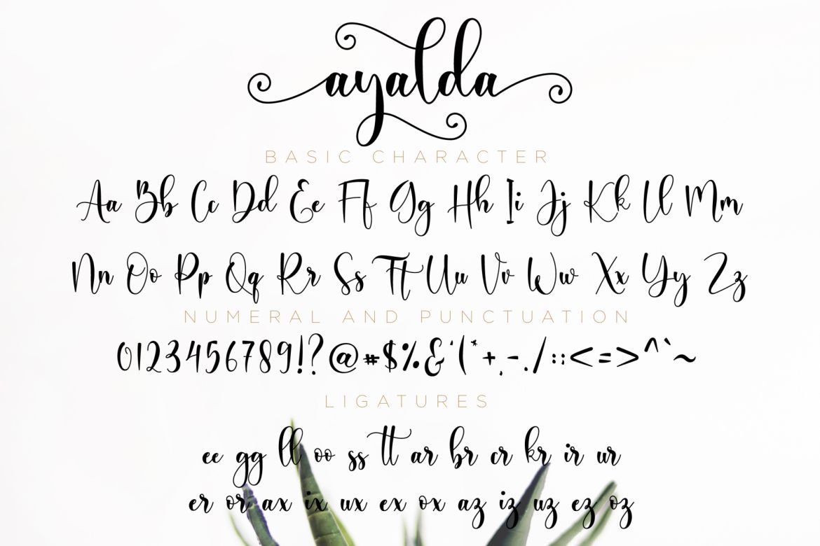 Ayalda Script - view 11