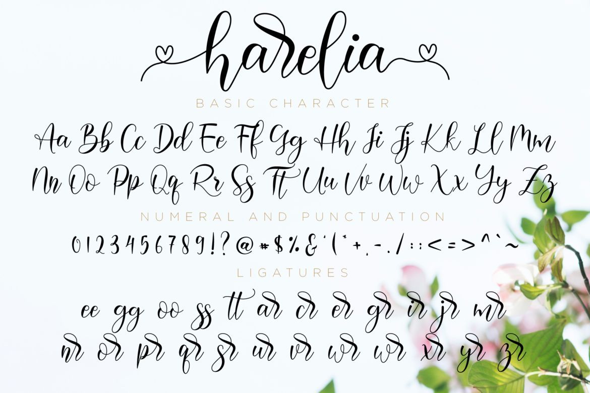 Harelia Script - view 11