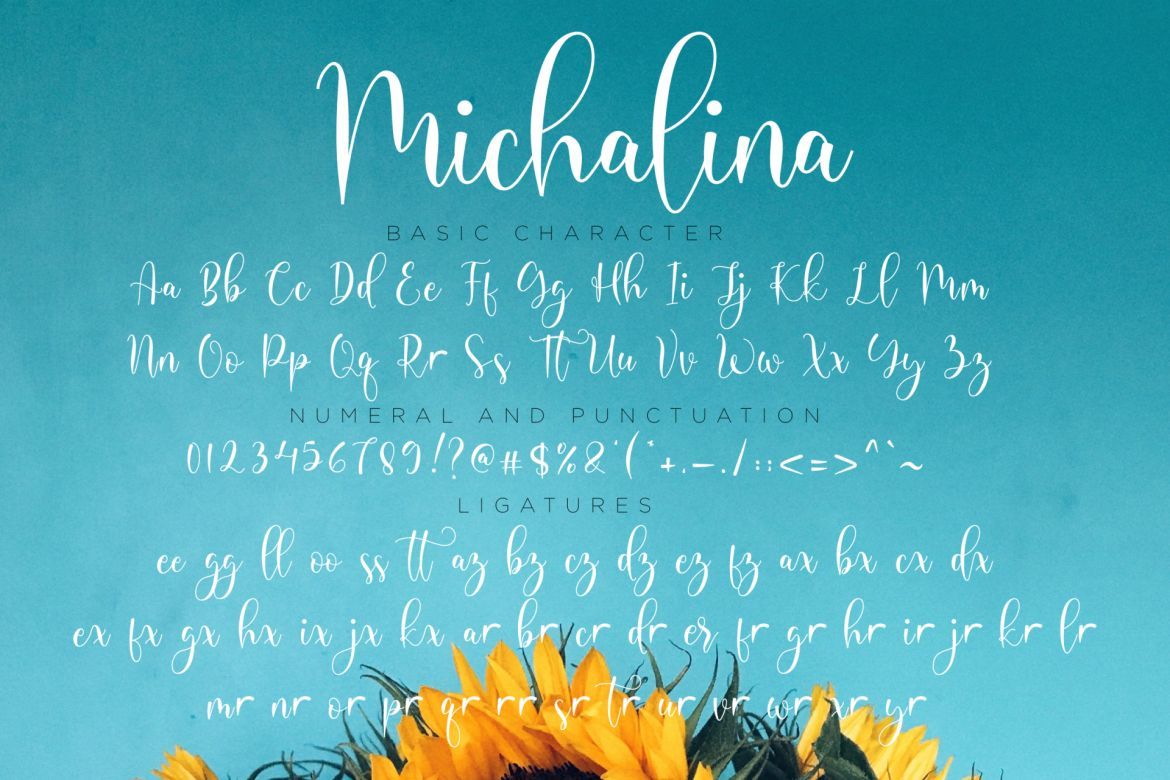 Michalina Script - view 7
