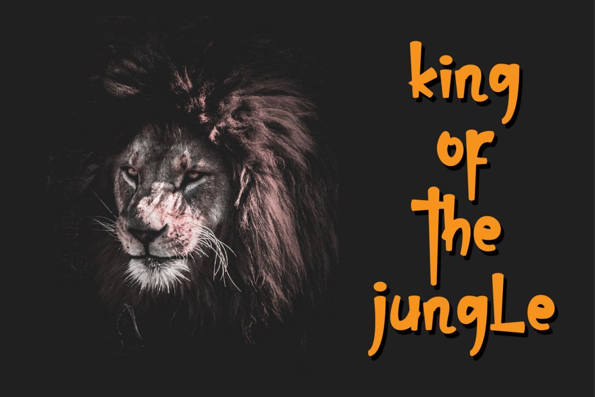 Christopher - view 6