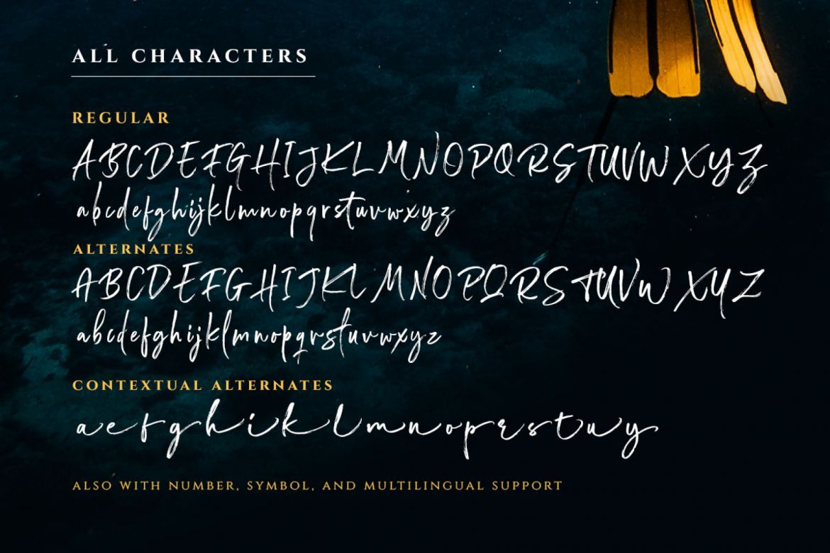 Wonderstory - Brush Script - view 4