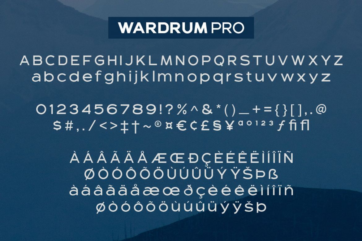 Wardrum PRO Sans Serif alternate