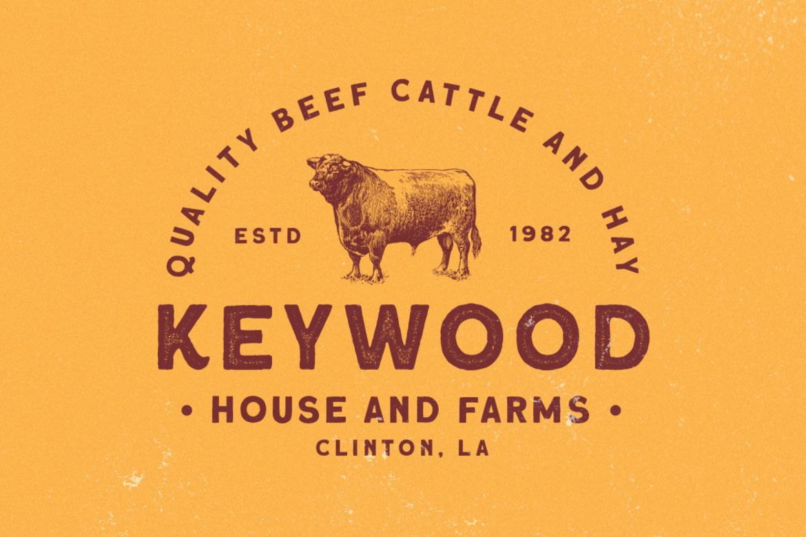 Roquen - A Hand Drawn Typeface - view 3