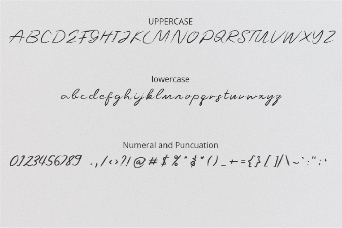 Raceer - Handwritten Font - view 5