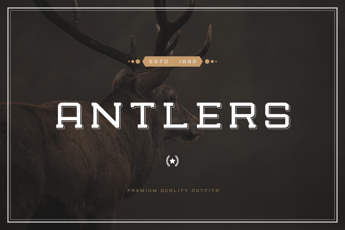 NCS Rogueland - Free Slab Serif Font - view 2