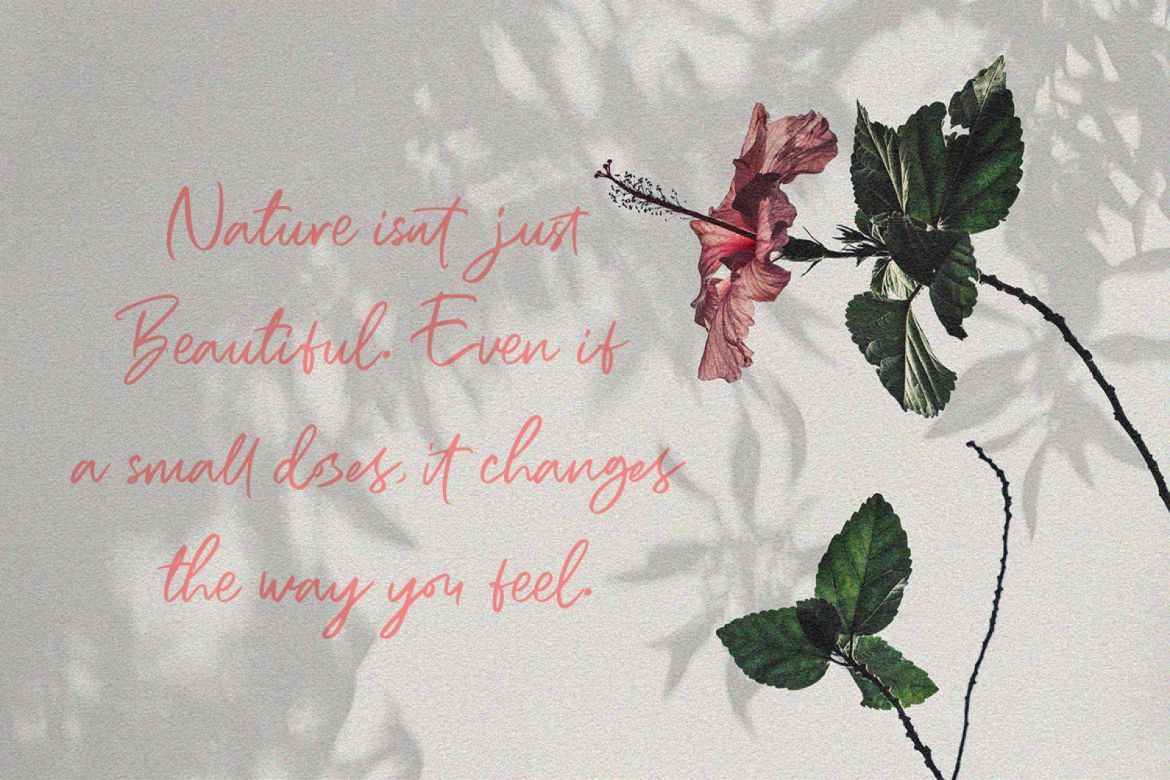 Bogoritmaa Signature - view 5