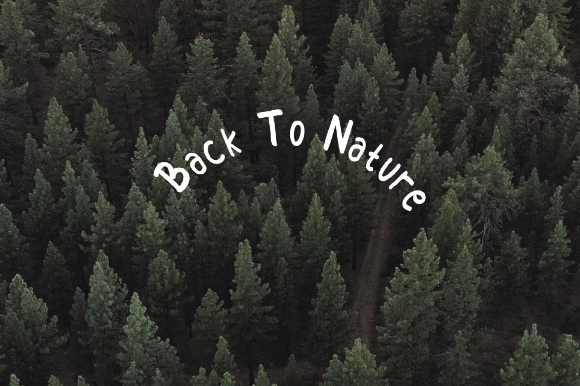 Marion - Display Font - view 4