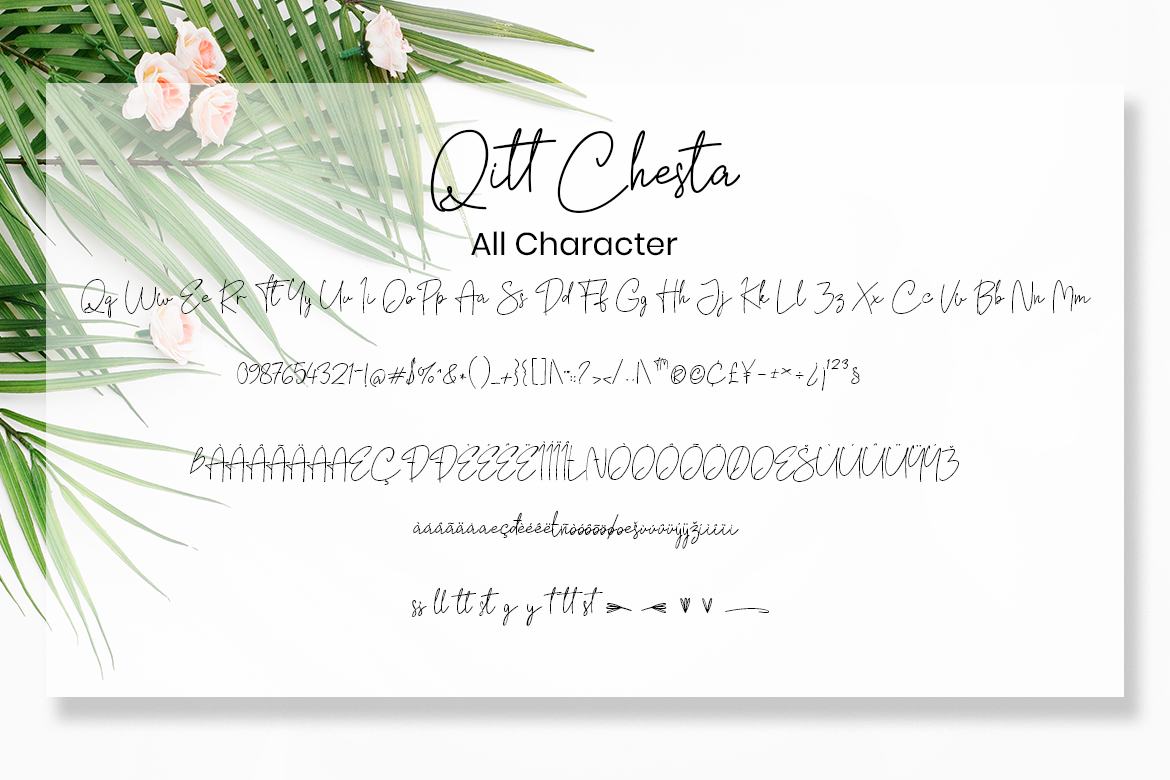 Qitt Chesta - Free Script Font - view 6