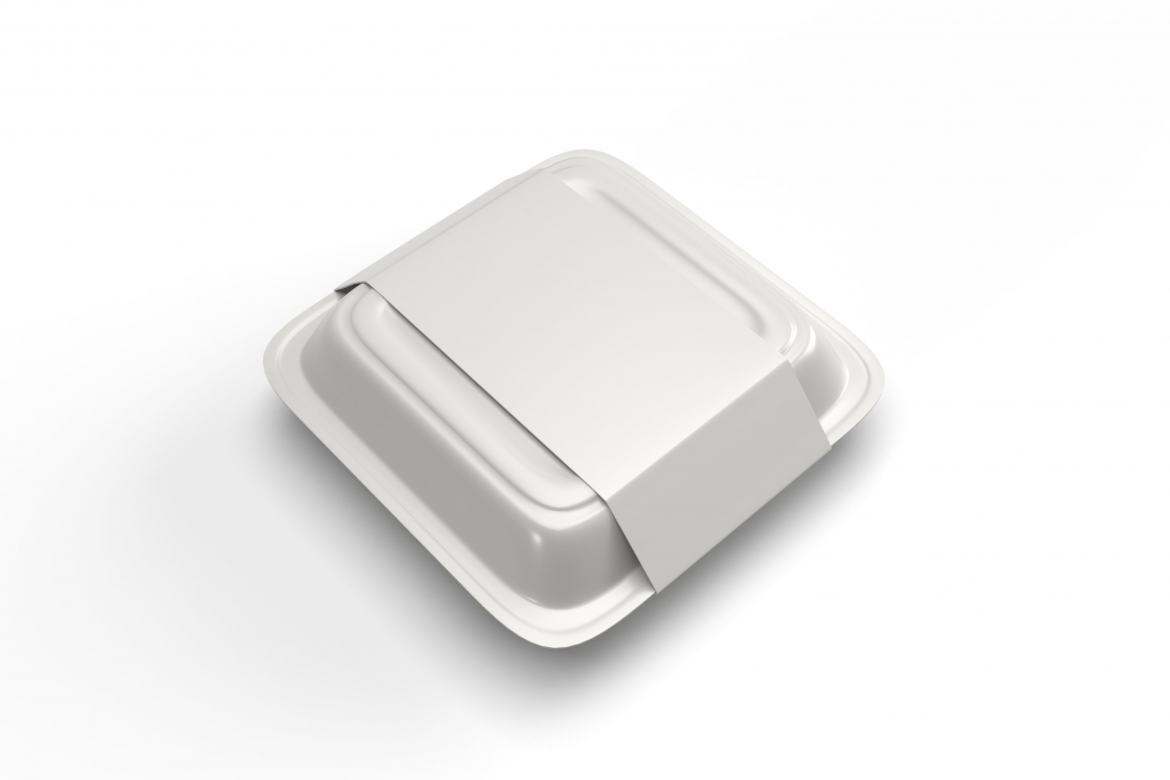 Food Box Packaging - Free Mockup Template - view 2