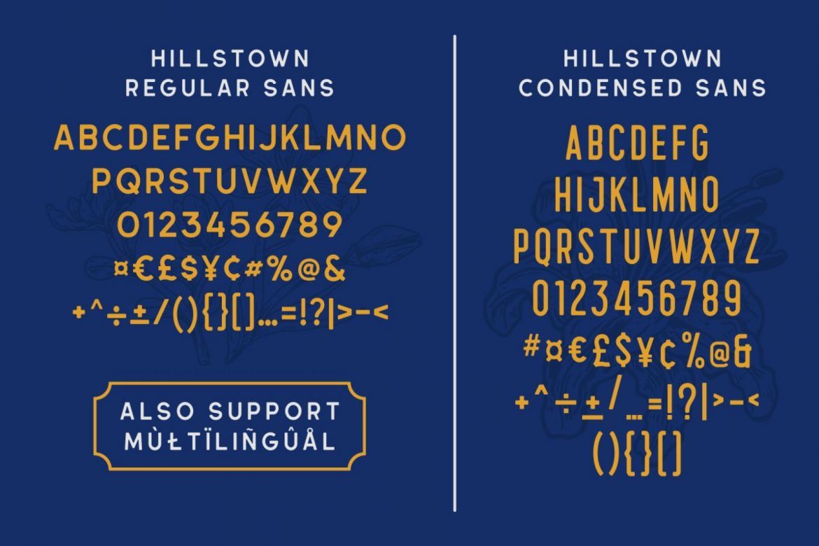 Hillstown Font Collection - view 6
