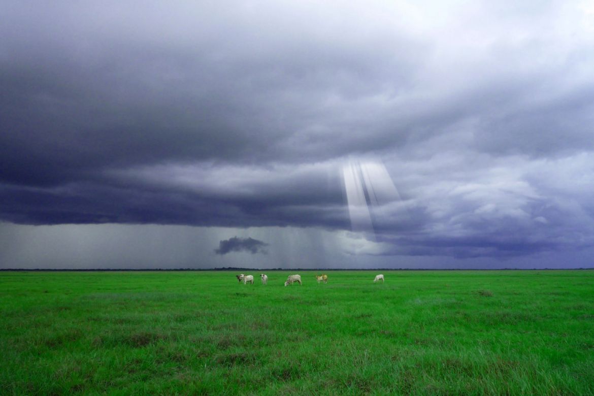 75 Sunshine Overlays - view 2