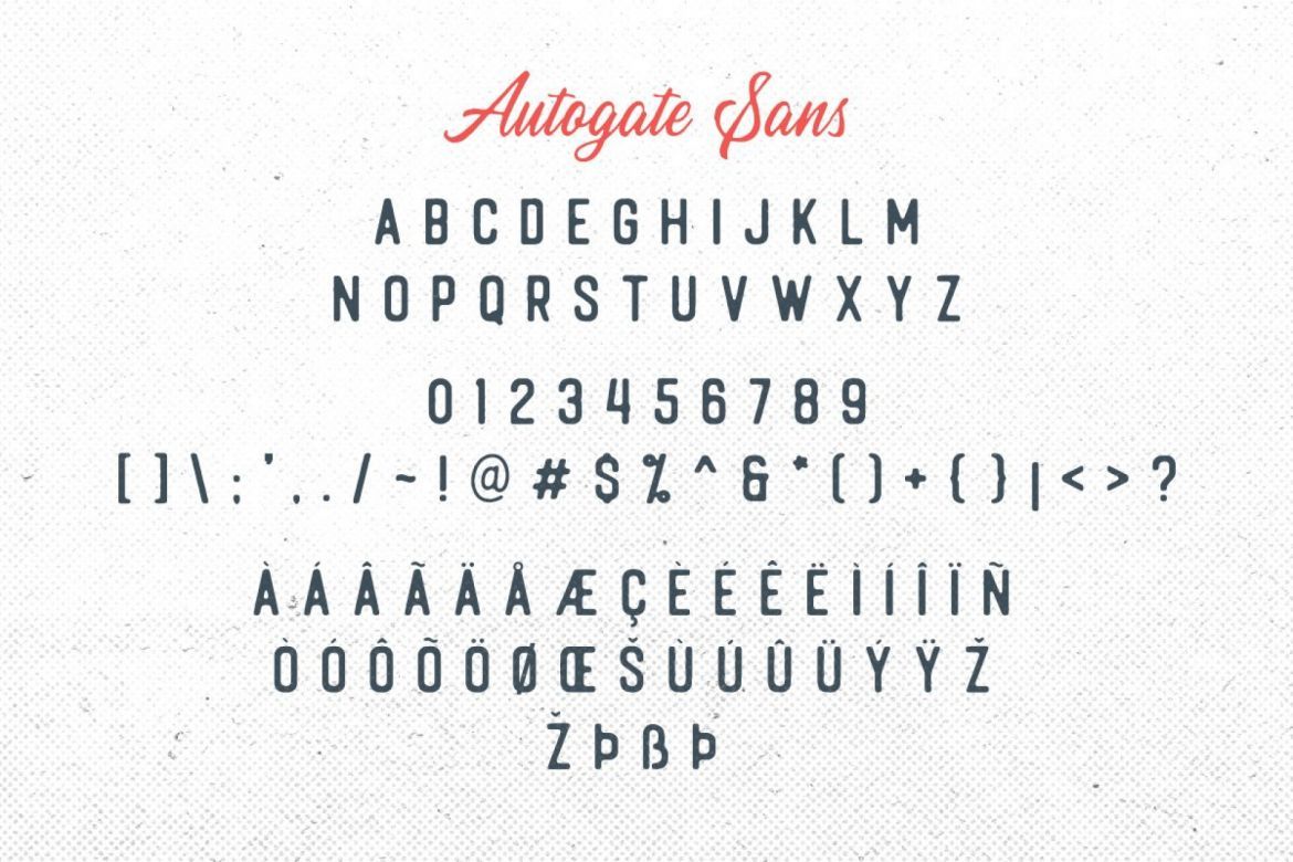 Autogate - Font Duo - view 14