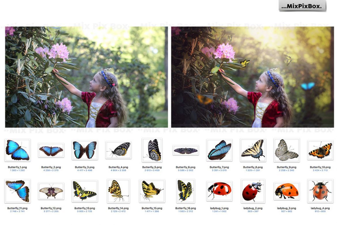 Summer Overlays Mix Pack - view 4