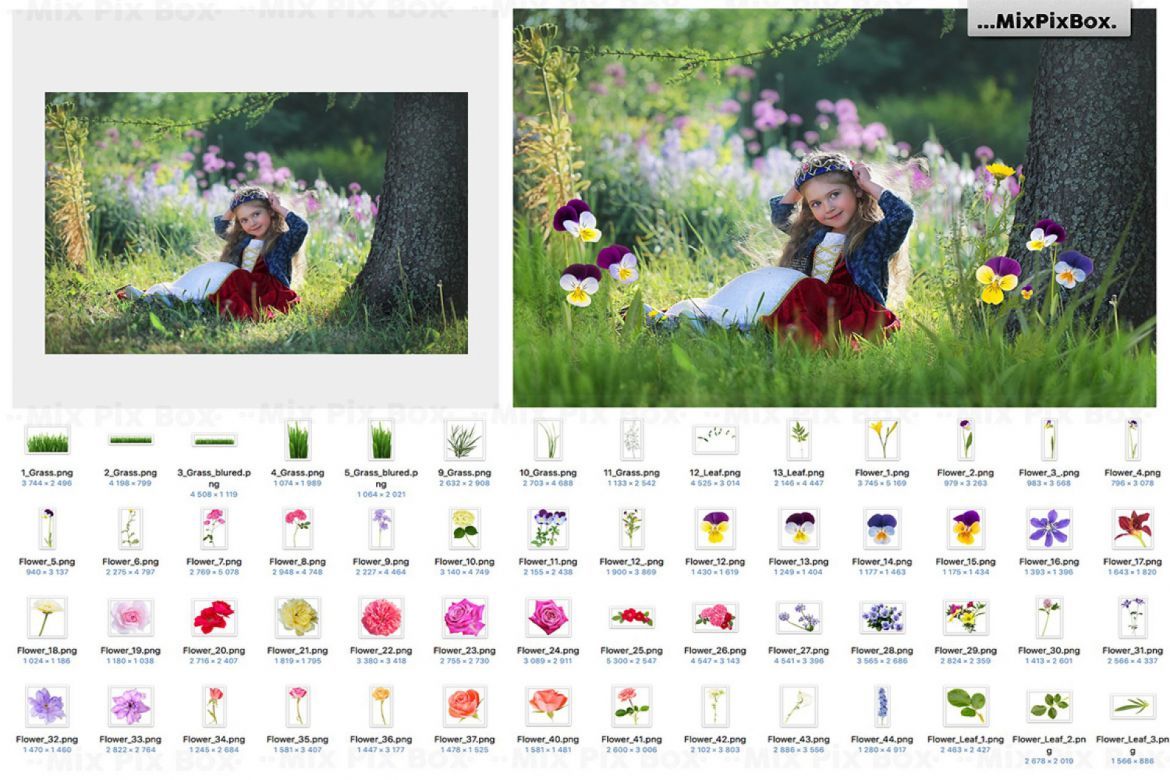 Summer Overlays Mix Pack - view 5